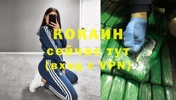твердый Армянск