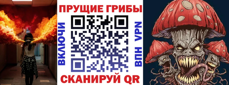 mega ссылки  Никольск  Псилоцибиновые грибы мицелий 